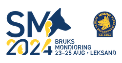 Bruks SM 2024