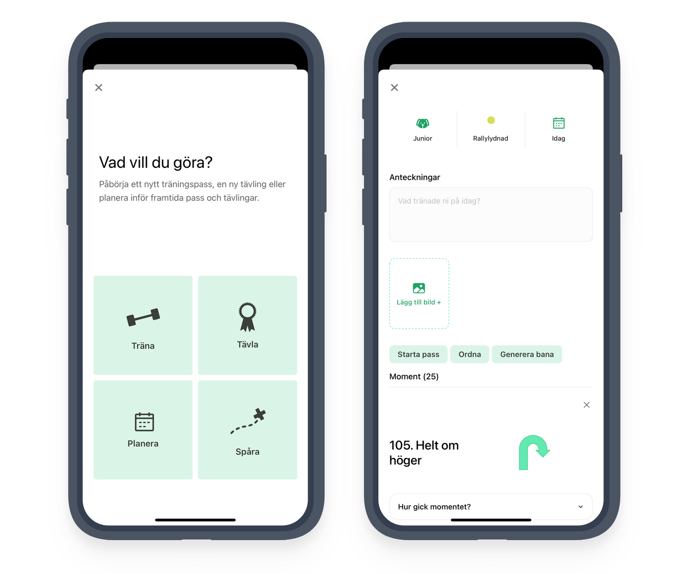 Rallylydighet hovedvisning
